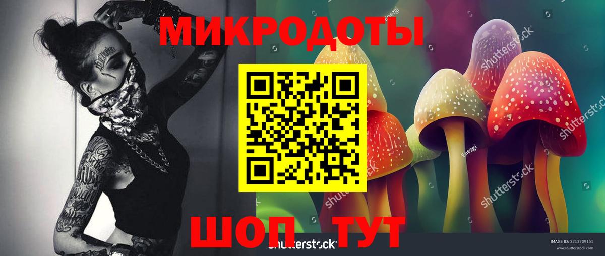 Сунжа  Псилоцибиновые грибы Psilocybe  Псилоцибиновые грибы Magic Shrooms  Вход с VPN 